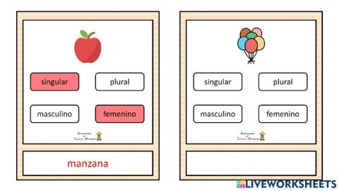 Sustantivos género y número