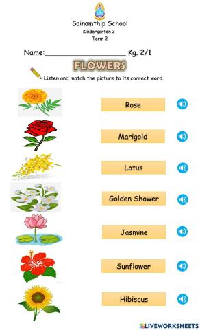 Kinds of flowers