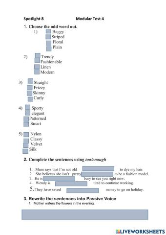 Spotlight 8 Modular Test 4
