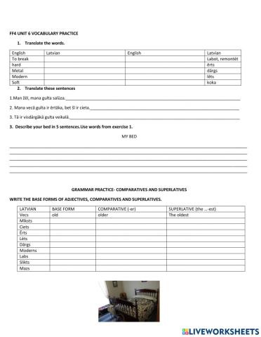 FF4 unit 6 Vocabulary and Grammar Practice