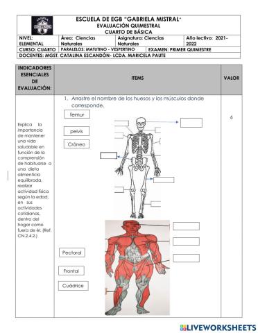 Evaluación de ciencias naturales