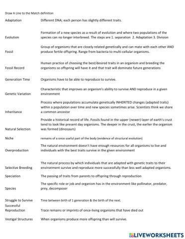 Evolution Vocabulary Match
