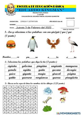 Evaluación de Lengua y Literatura