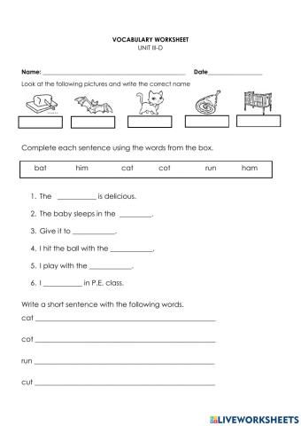 Vocabulary unit lll-D