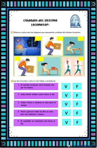 Cuidados del sistema locomotor
