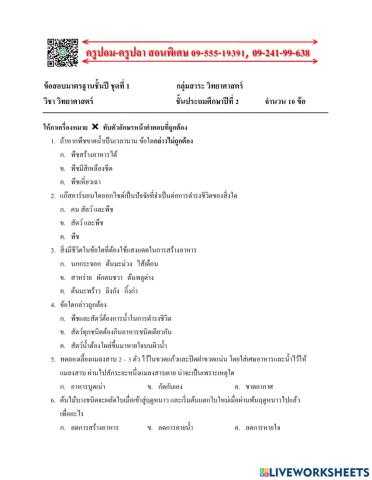 ข้อสอบวิทยาศาสตร์