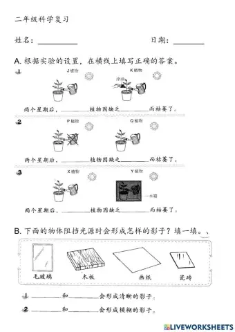 二年级科学复习