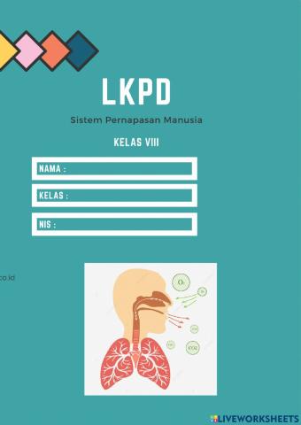 Sistem pernapasan manusia 1