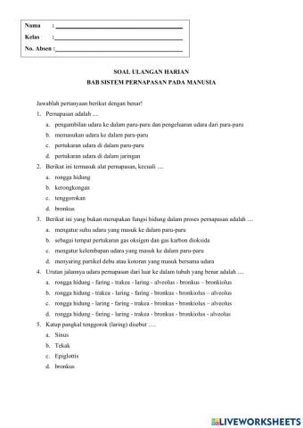 Sistem Pernapasan Pada Manusia