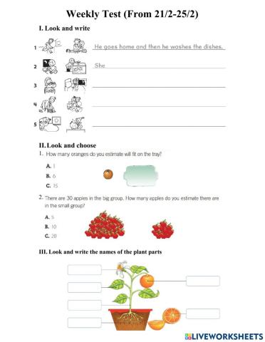Weekly Test(21.2-25.2)