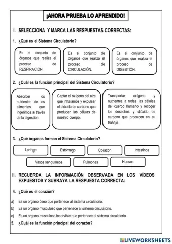 El Sistema Circulatorio