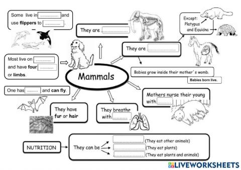 Mammals