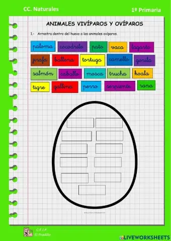 Animales ovíparos y vivíparos