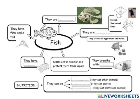 Fish Characteristics