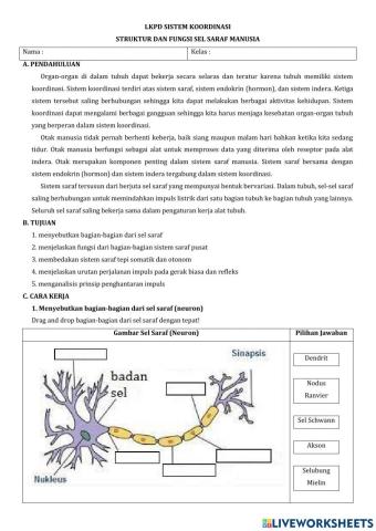 LKPD Sistem saraf