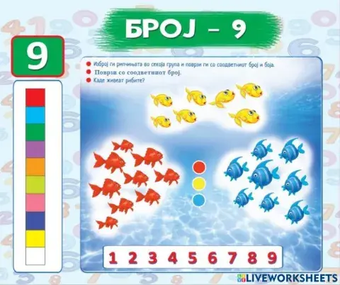 По колку рипчиња има во секоја група? (Во соработка со Росица)