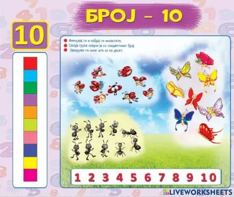 Секоја група поврзи ја со соодветниот број (Во соработка со Росица)