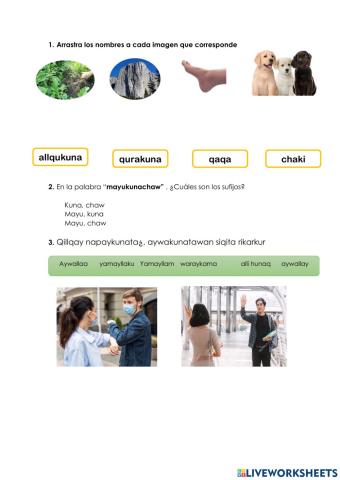 Práctica liverworkseeth