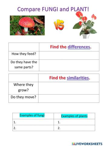 Comparing pungi and plants