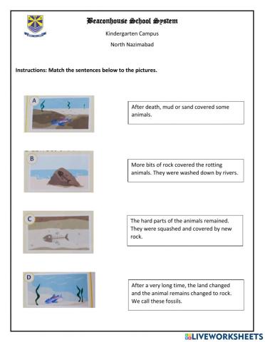 Fossils live worksheet