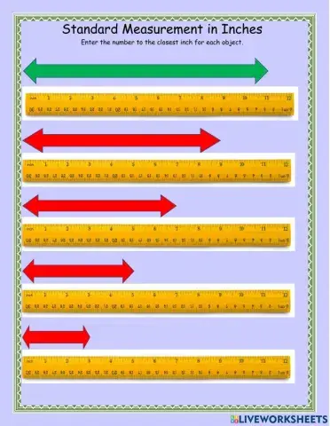 Standard Measurements 2