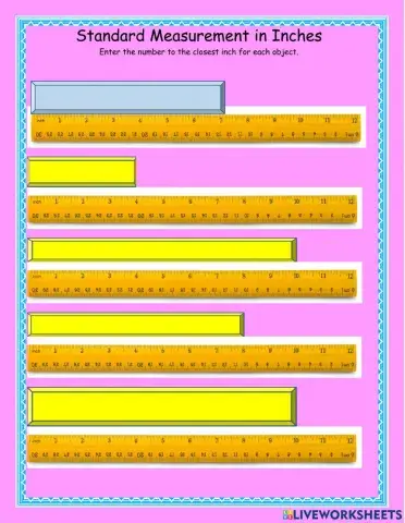 Standard Measurement 3