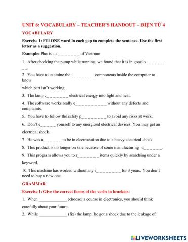 Unit 6- Vocabulary - Grammar - Teacher's handout- ddieenj tuwr 4