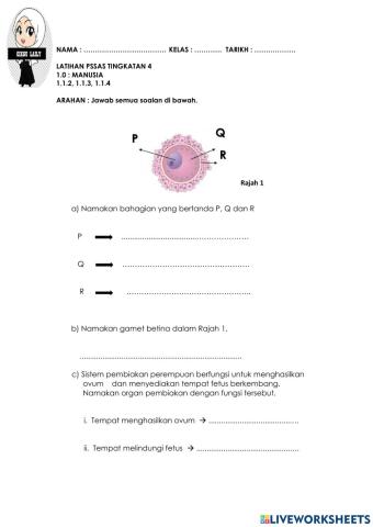 Sistem pembiakan