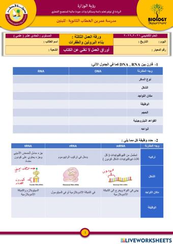 بناء البروتين والطفرات