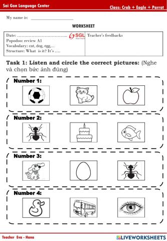 Popodoo Review A1 (Crab, Eagle, Parrot)