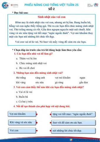 Tiếng Việt nâng cao tuần 25