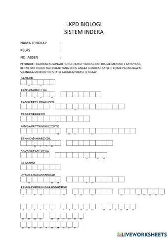 Tts sistem indera new