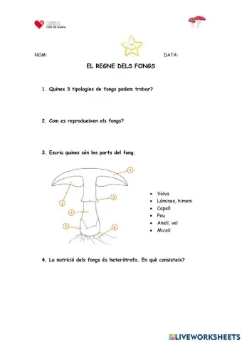 Prova estrella dels fongs