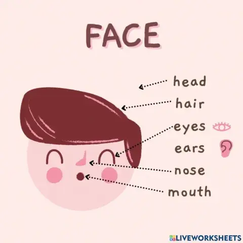 Body parts vocabulary