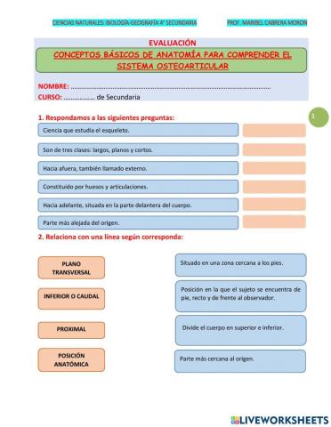 Conceptos básicos de anatomía