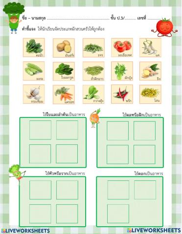 ประเภทผักสวนครัว ป.3