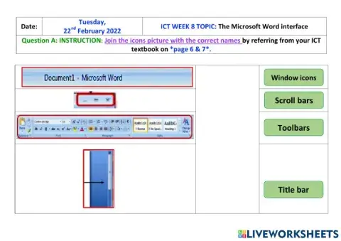 The MICROSOFT word interface