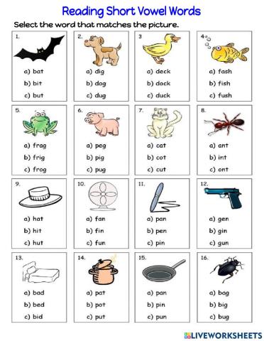 Reading Short Vowel CVC Words