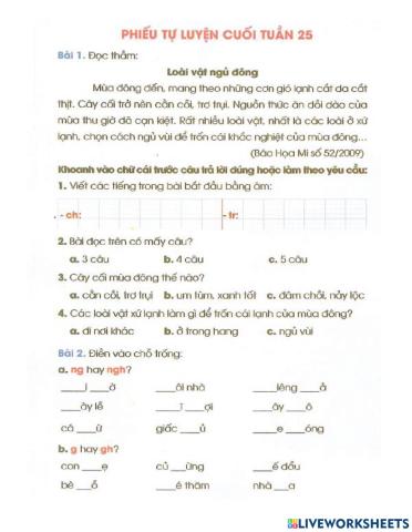 Bài tập tuần 24