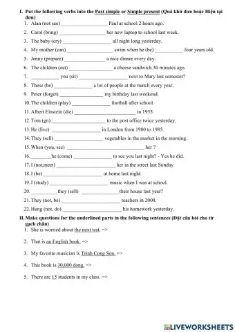 Past simple + Wh questions