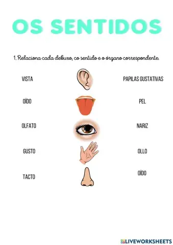 Os sentidos