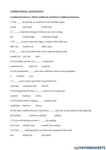 Conditional Sentences