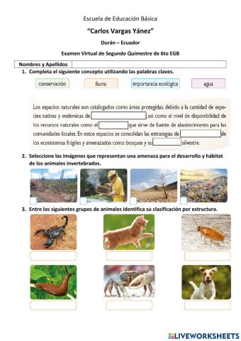 Evaluación 6to CCNN 2do Quim