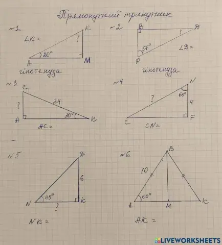 Прямокутний трикутник