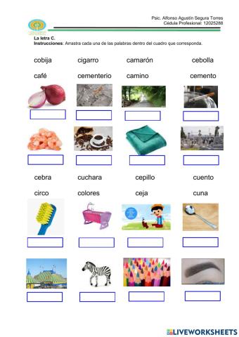 Ejercicios letra -C-