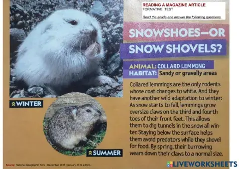 Magazine Article Test