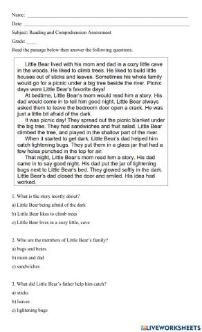 Reading and Comprehension Test