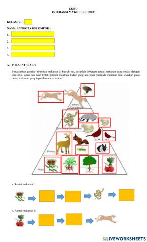 Interaksi Makhluk Hidup