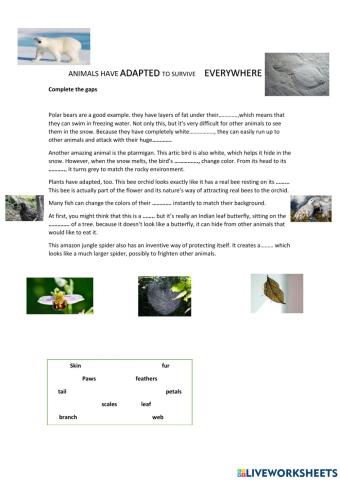 Animals have adapted to survive everywhere