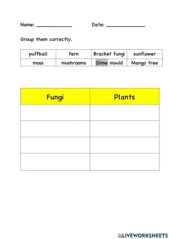 Fungi and plants